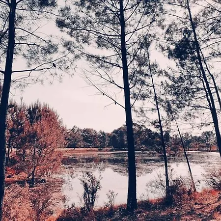 Chalet Avec Vue Sur Le Lac~la Cabane De Loic * ラブーエール
